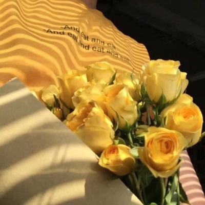 英雄战旗满v变态版下载